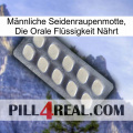 Männliche Seidenraupenmotte, Die Orale Flüssigkeit Nährt 08